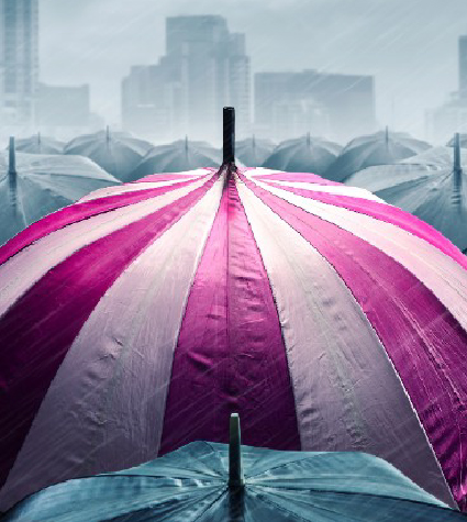 Odin Insurance Broking Website Development