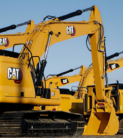 Tehama Cat Website Development